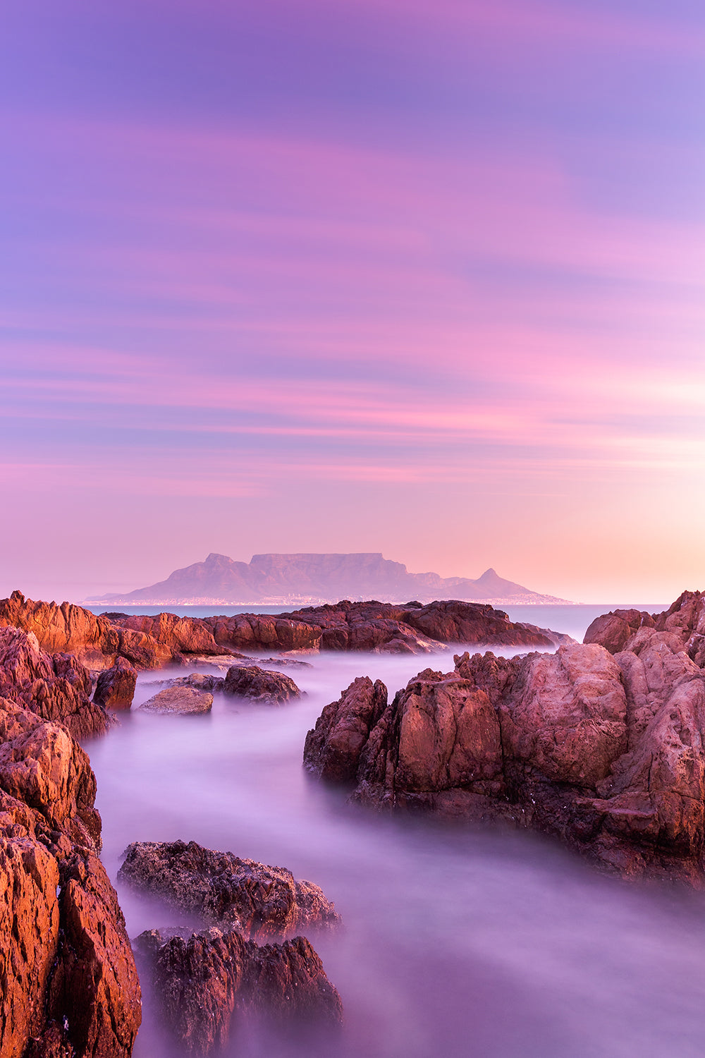Lilac Tide