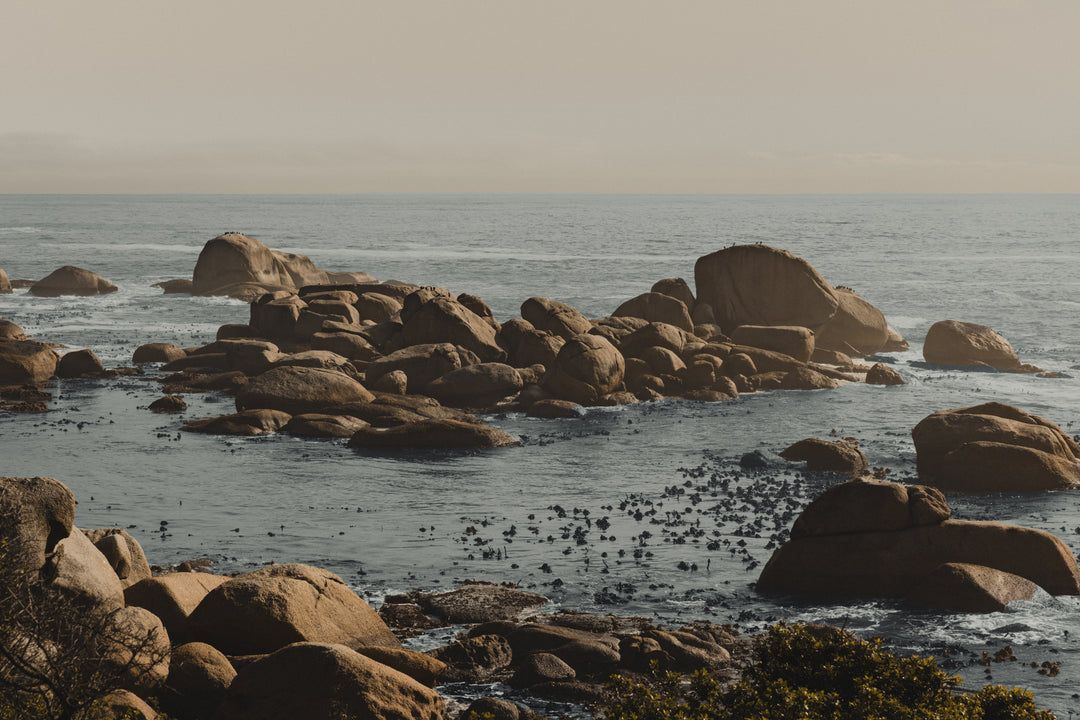 Weathered Coastal Boulders