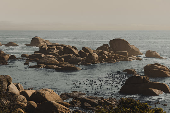 Weathered Coastal Boulders