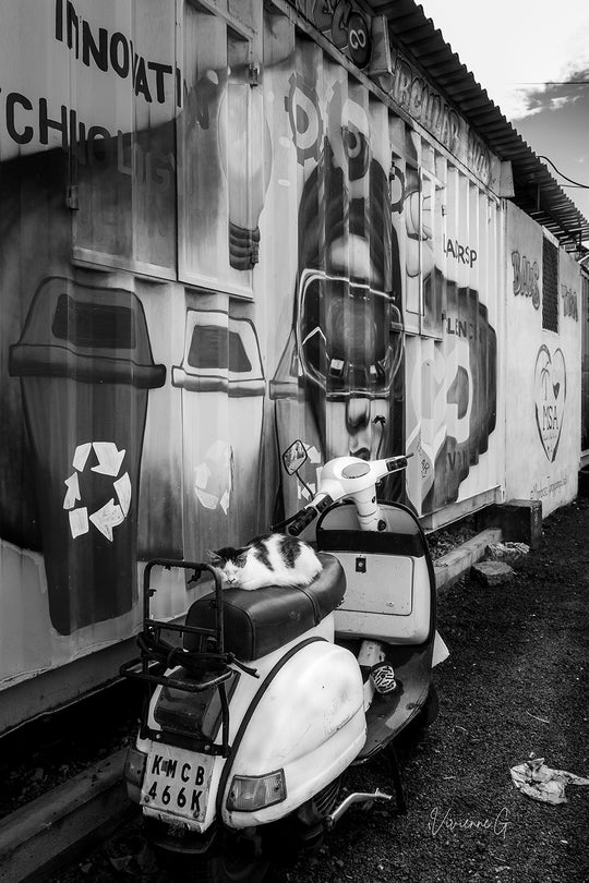 Mombasa, Cat Scooter