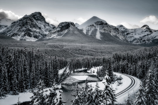 Morant’s Curve