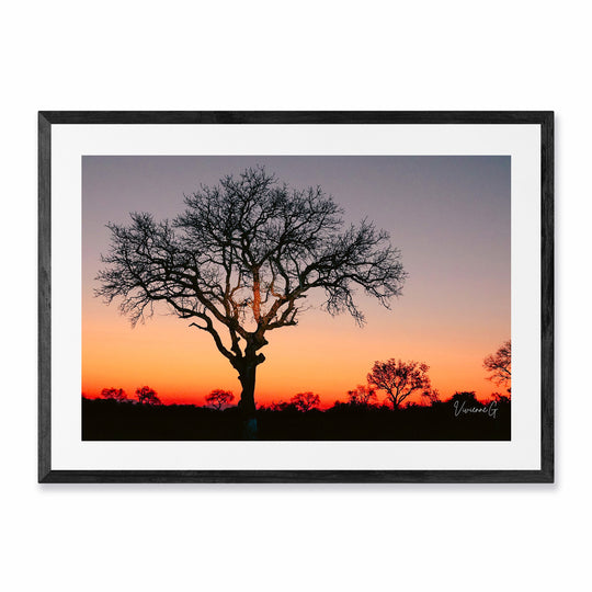 Okavango Sunset