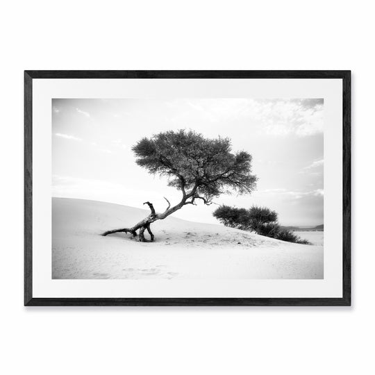 On the Dune