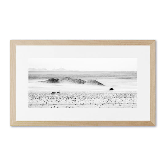 Oryx in the Desert