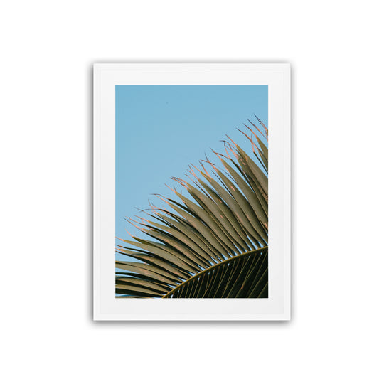 Palm Tree Detail