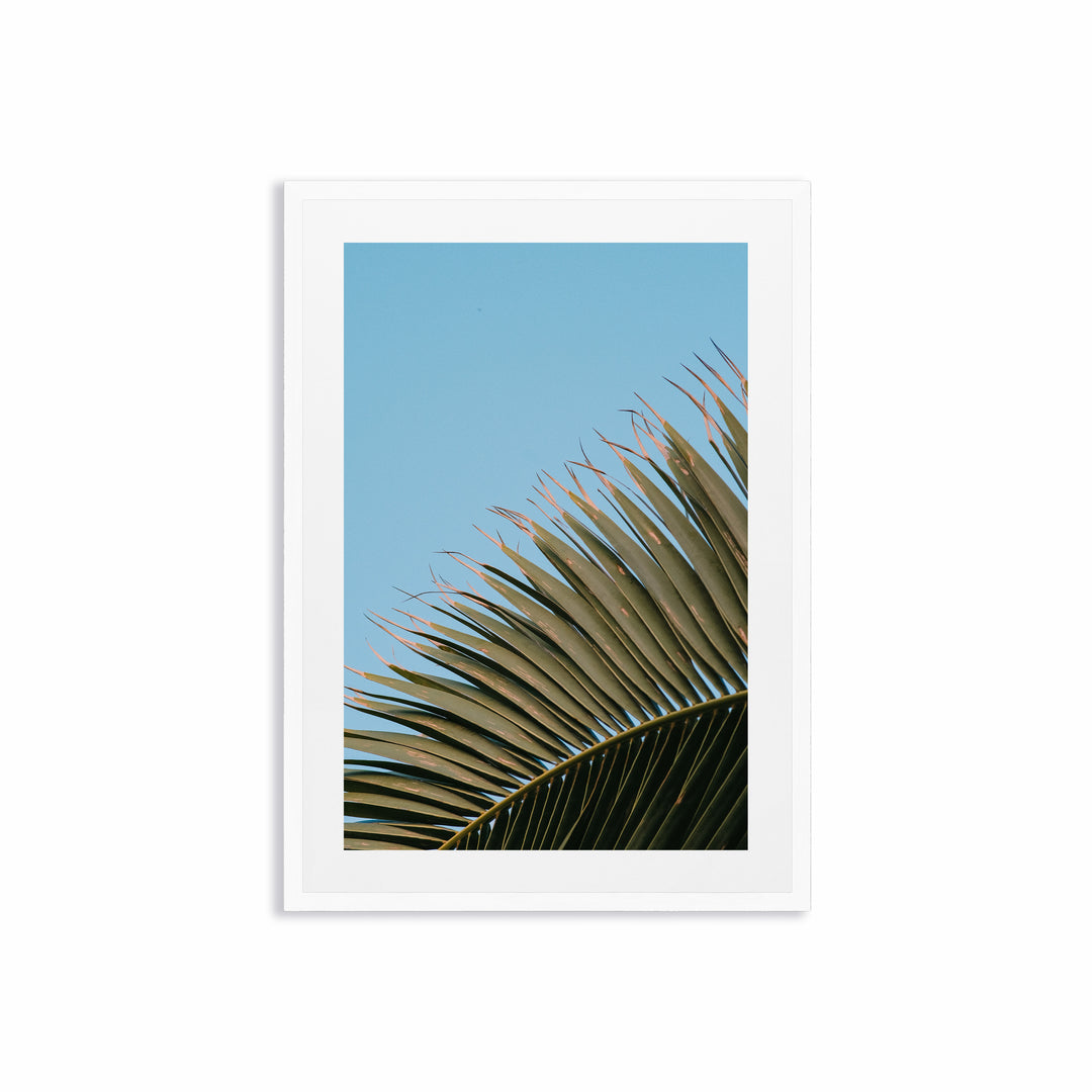 Palm Tree Detail