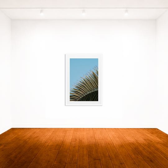 Palm Tree Detail