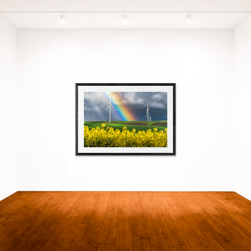 Canola Rainbow Landscape
