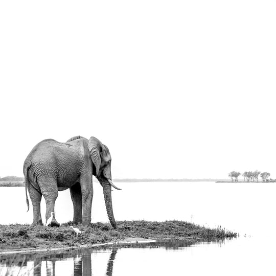 Reflections2