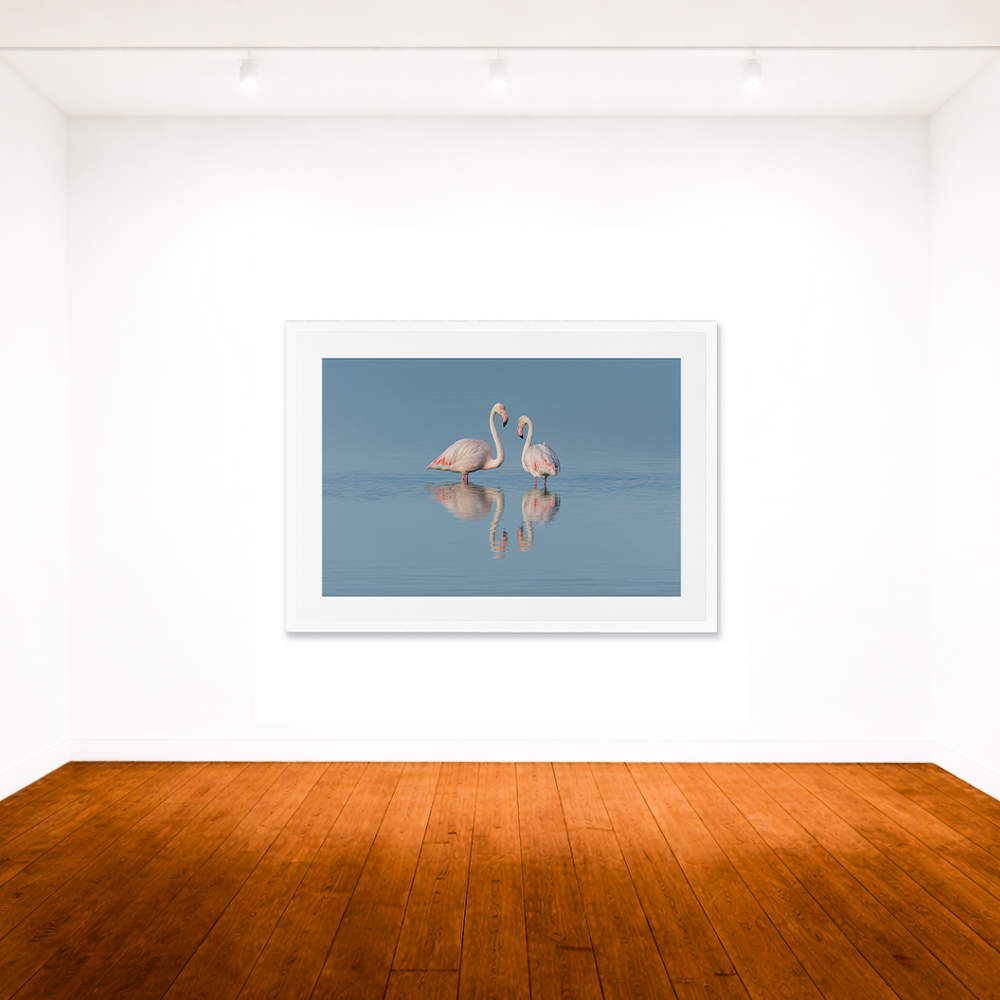 Reflections