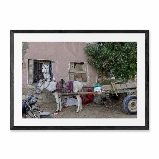 Siwa, Egypt, Donkey Cart