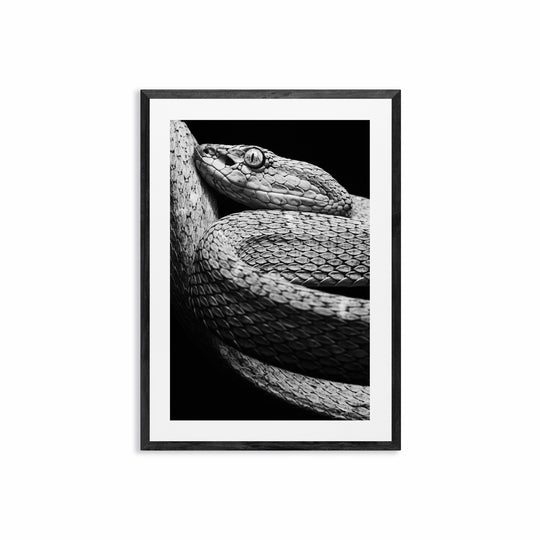 Coiled