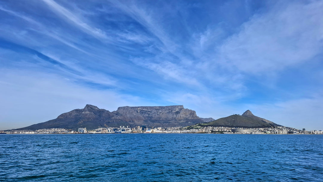 Table Mountain Devils Peak Lions Head Signal Hill