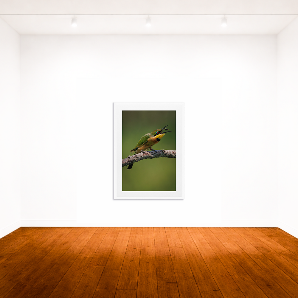 The Bee Eater