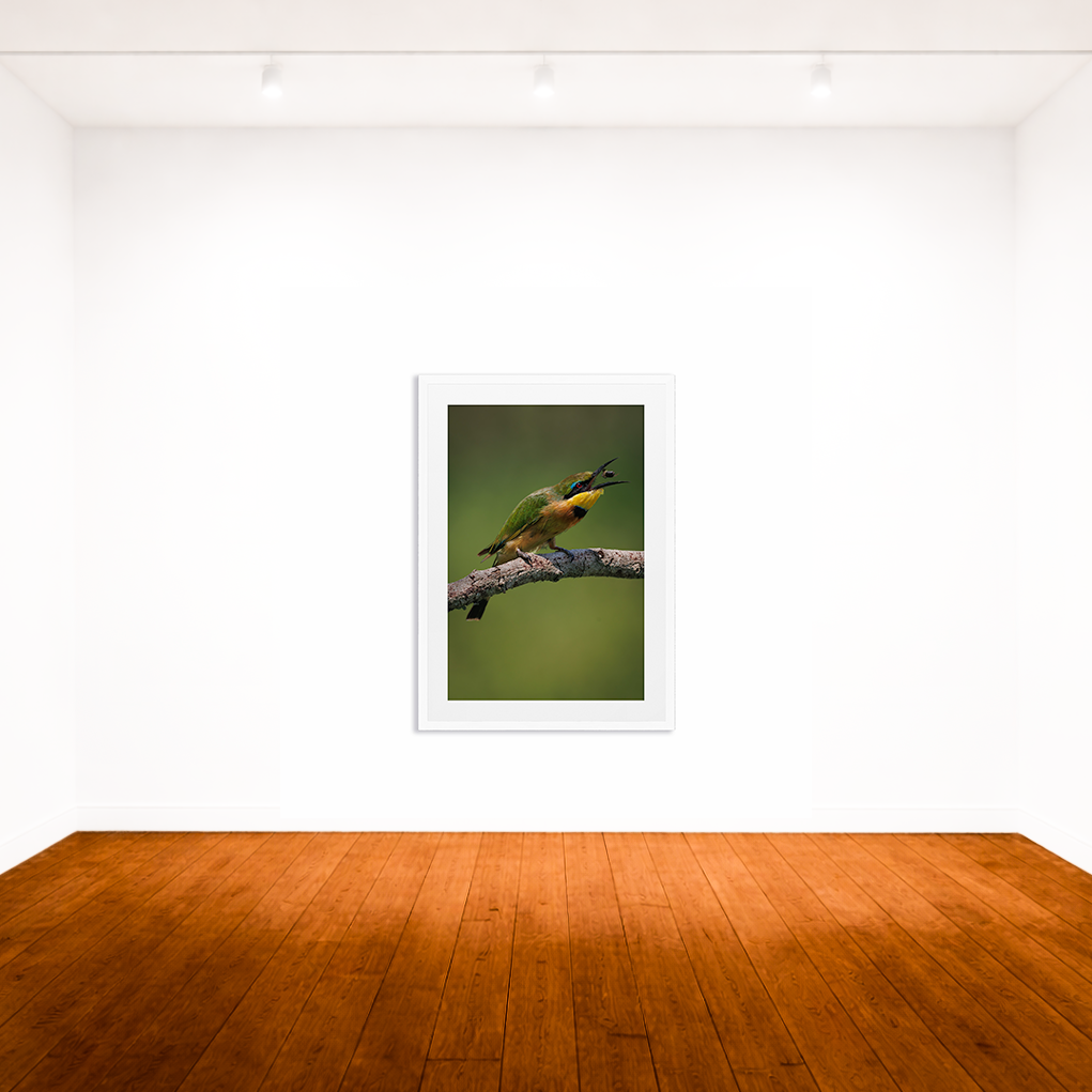 The Bee Eater