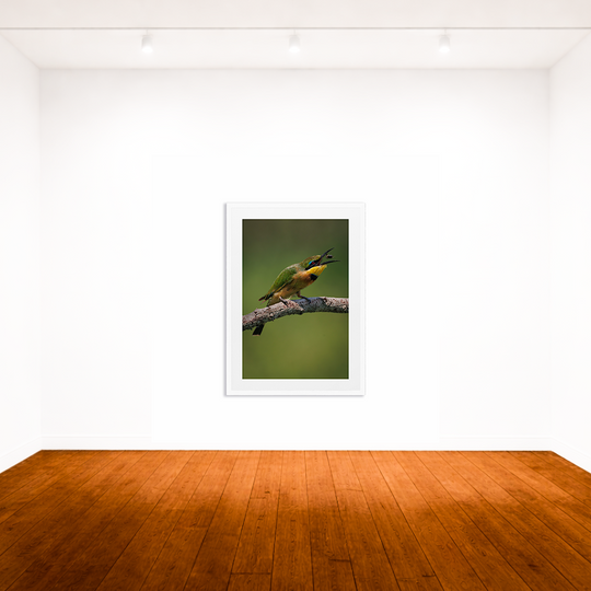 The Bee Eater