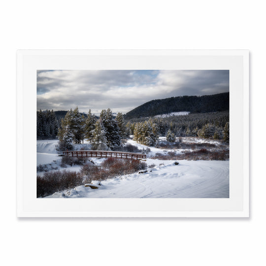 The Bridge in the Snow