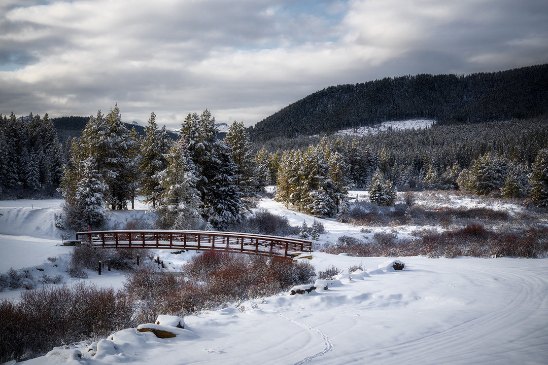 The Bridge in the Snow