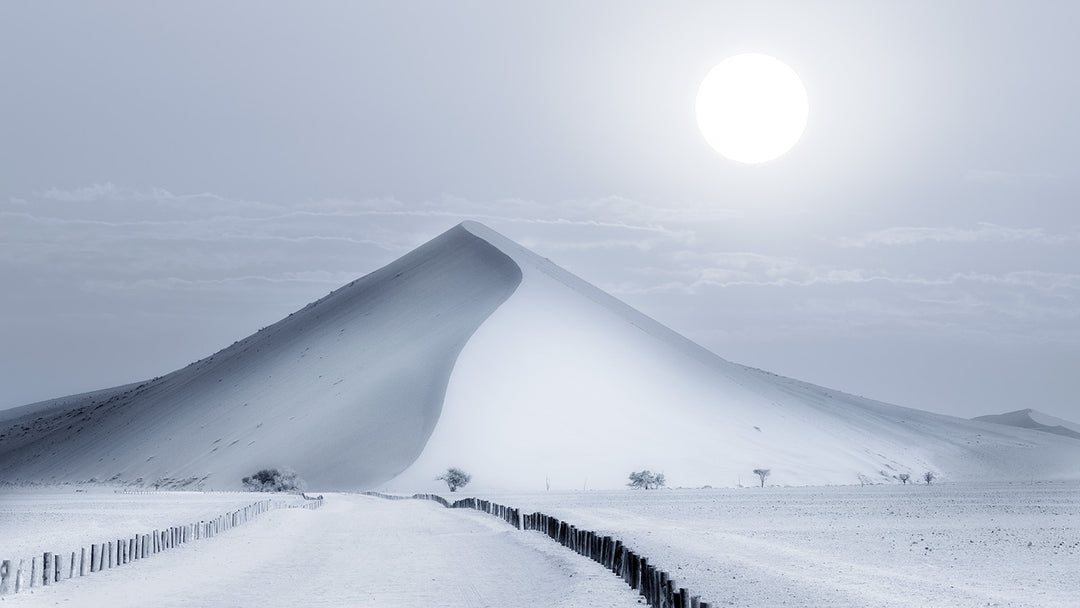 The Dune