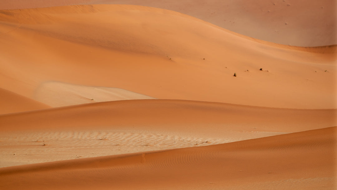 The Dunes