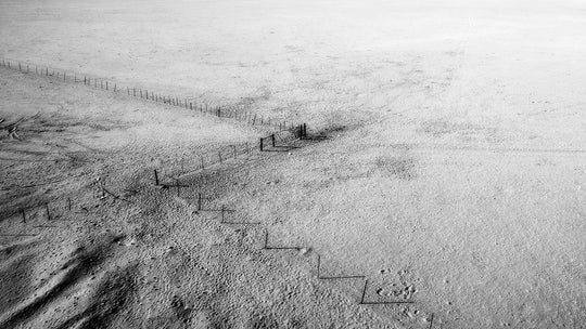 The Fence