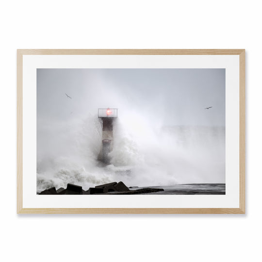 The Lighthouse