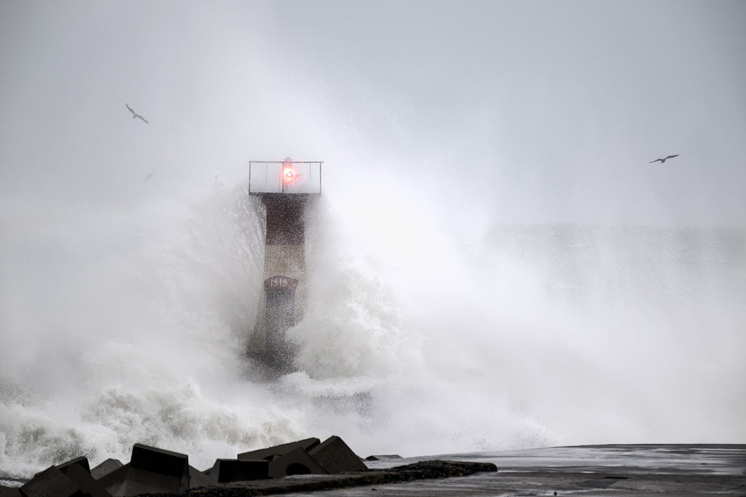 The Lighthouse