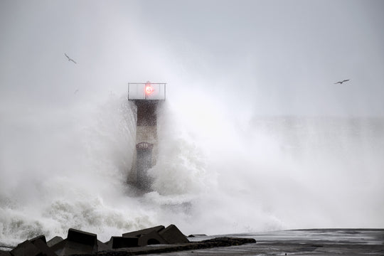The Lighthouse