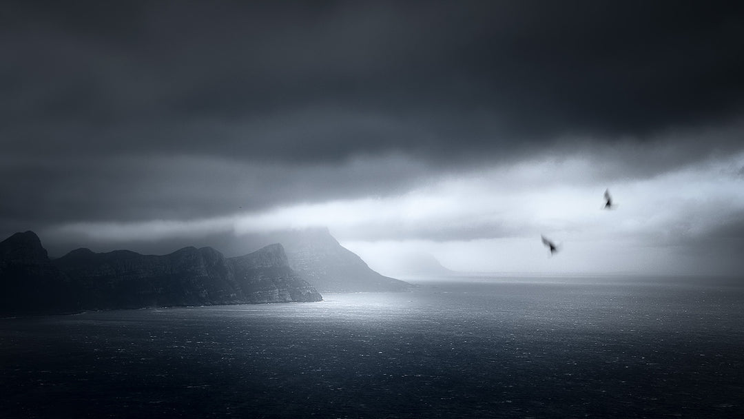 The Light that Was