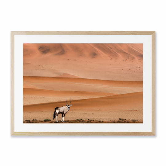 The Oryx (1)