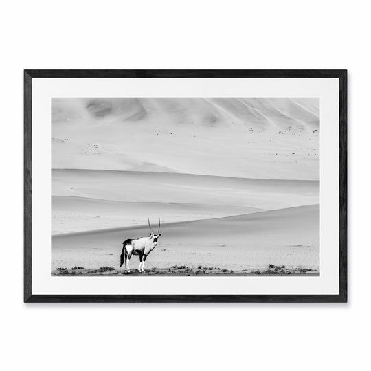 The Oryx (2)