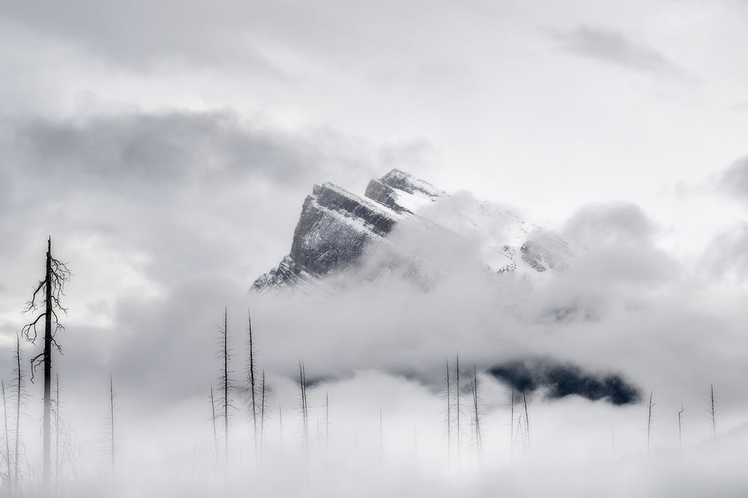 The Peaks