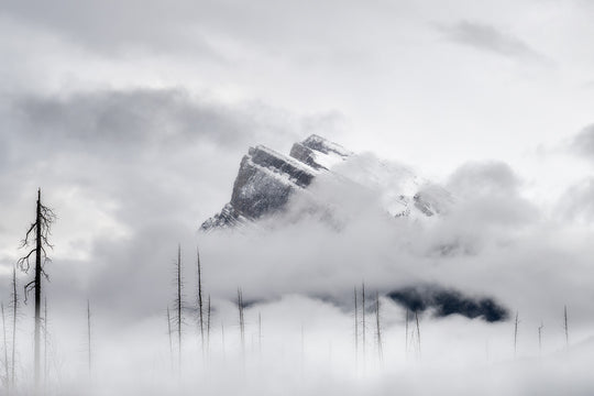 The Peaks