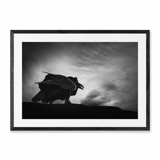 The Raven