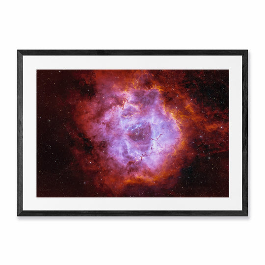 The Rosette