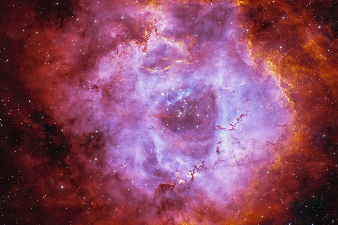The Rosette