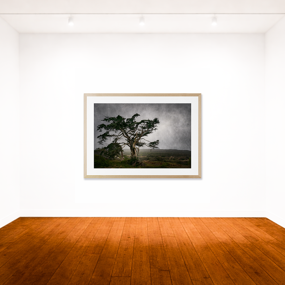 The Tree