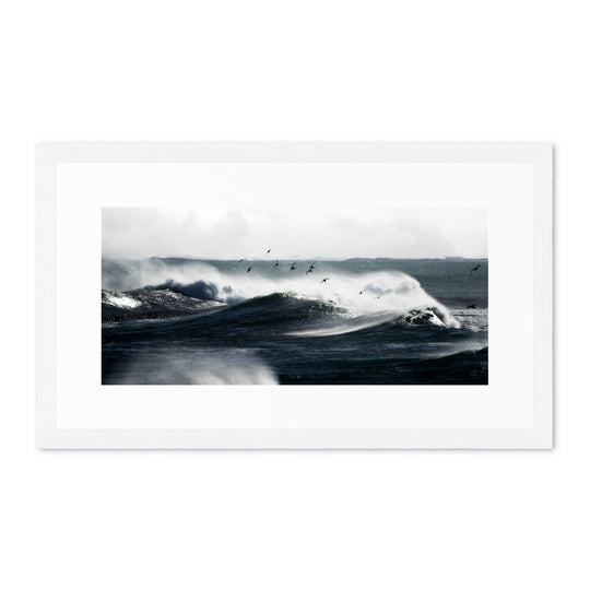 The Waves and the Birds