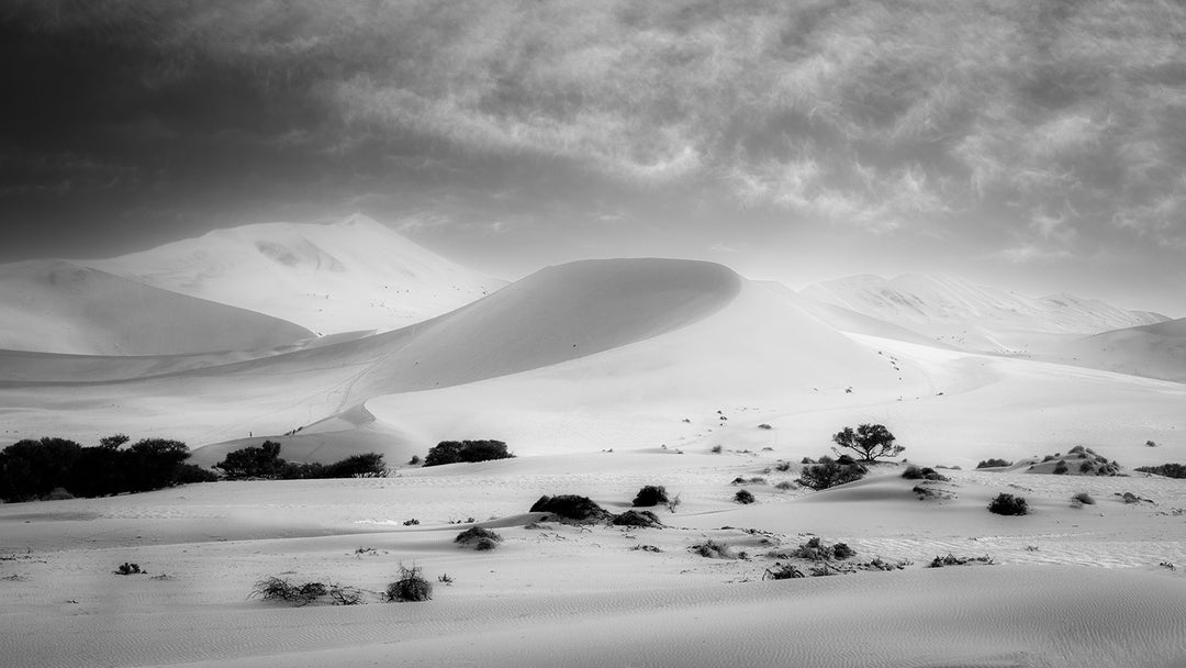 White Dunes