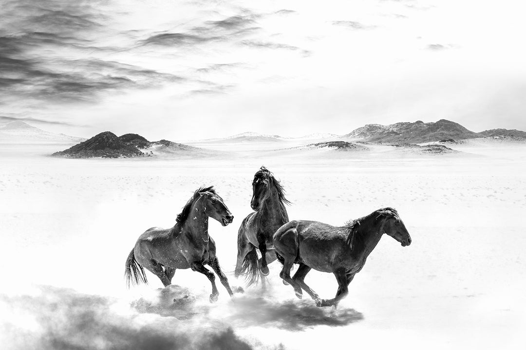 Wild Ones