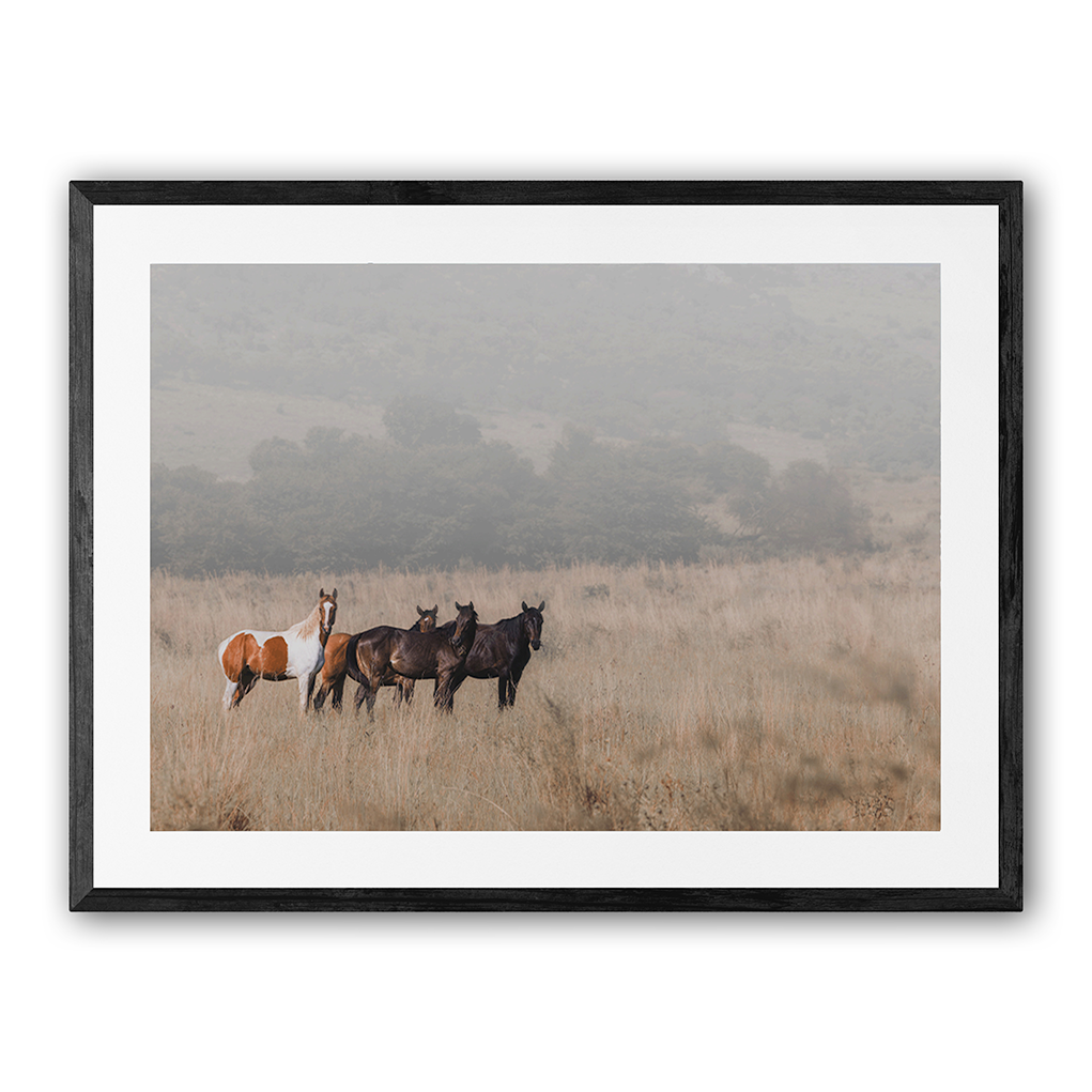 A Moment of Stillness with black frame - focused view