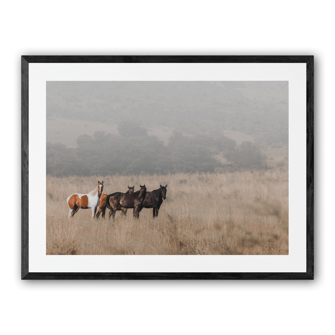 A Moment of Stillness with shadow on white background