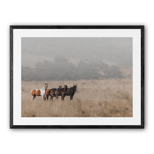 A Moment of Stillness with shadow on white background