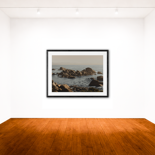 Weathered Coastal Boulders